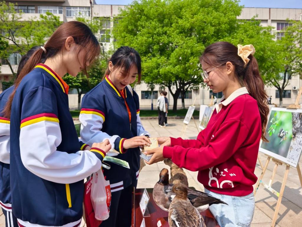大发彩票平台