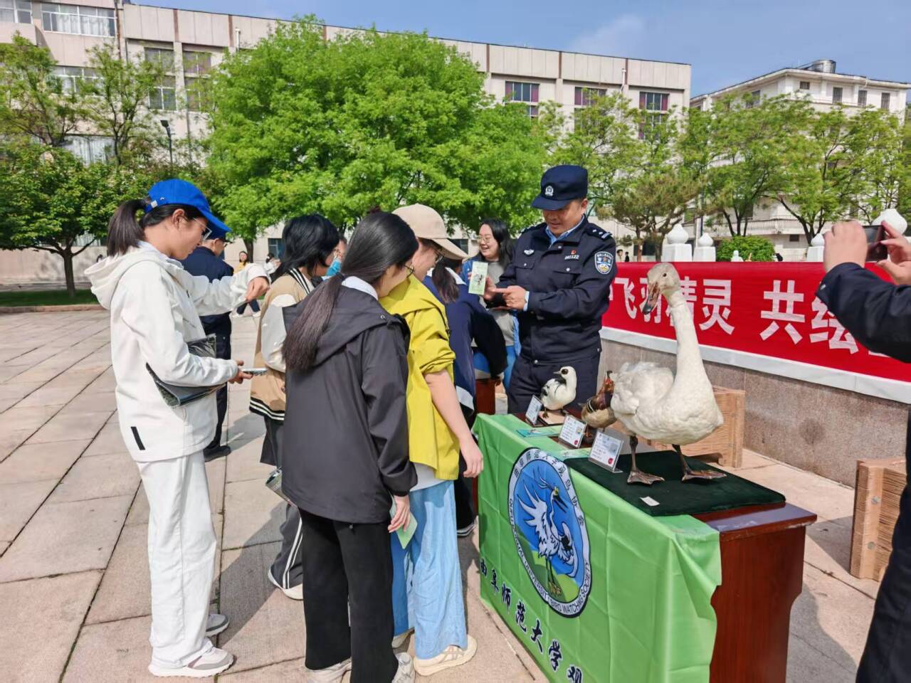 大发彩票平台