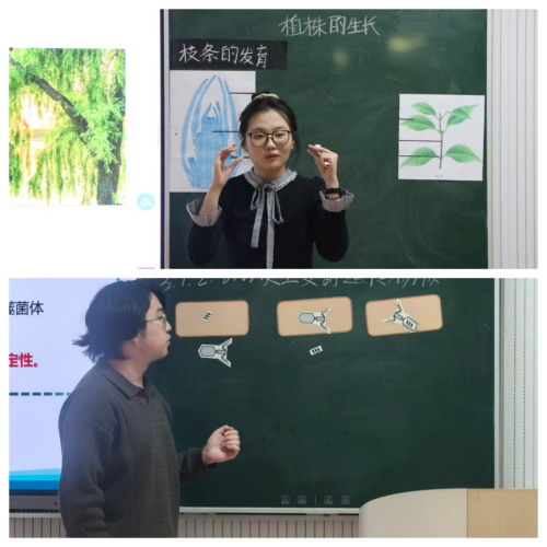 大发彩票平台