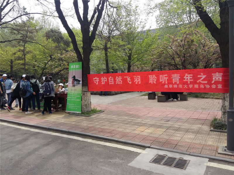 大发彩票平台