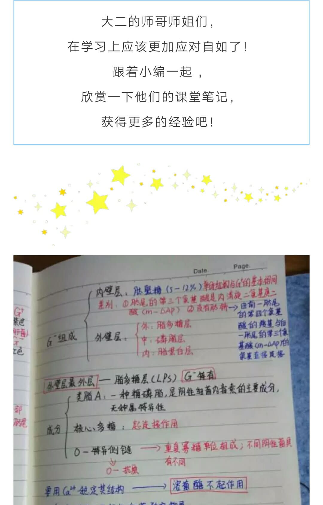 大发彩票平台