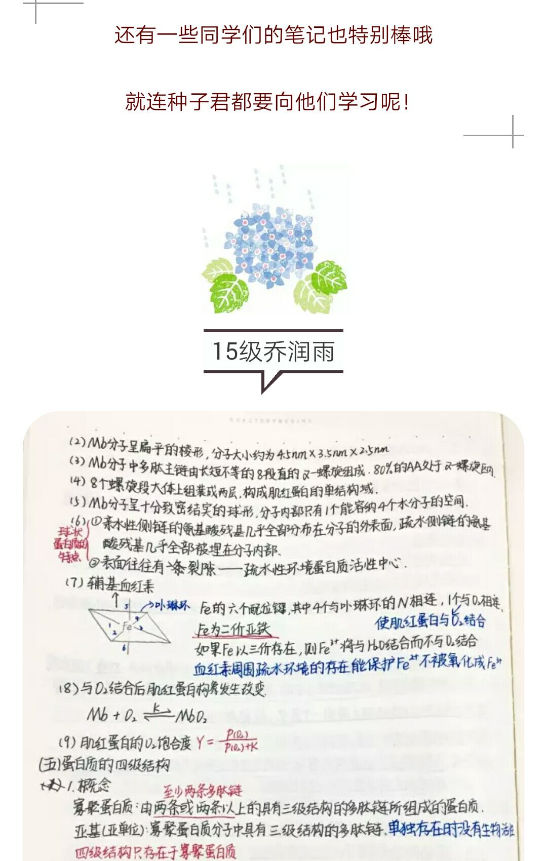 大发彩票平台