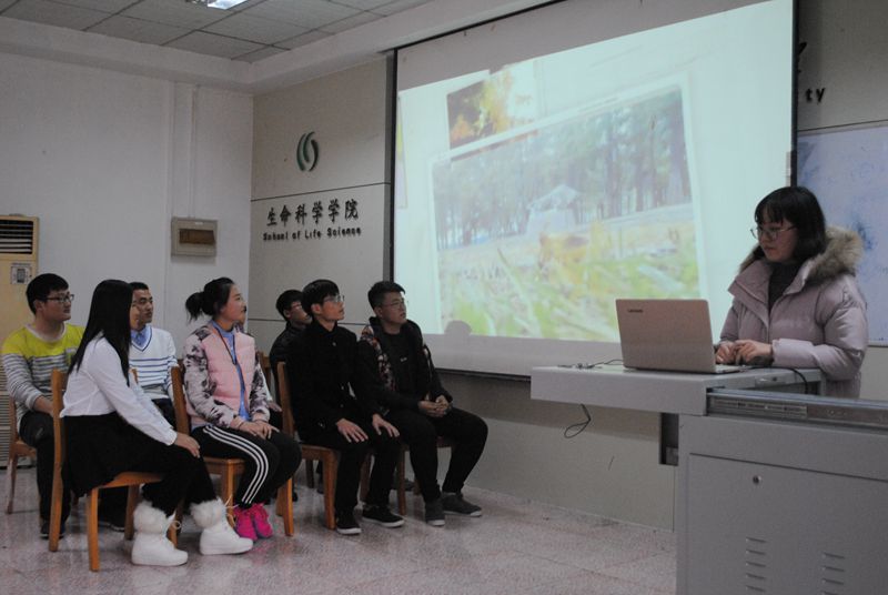 大发彩票平台