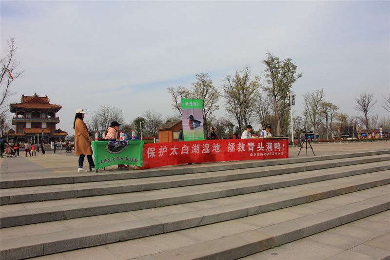 大发彩票平台