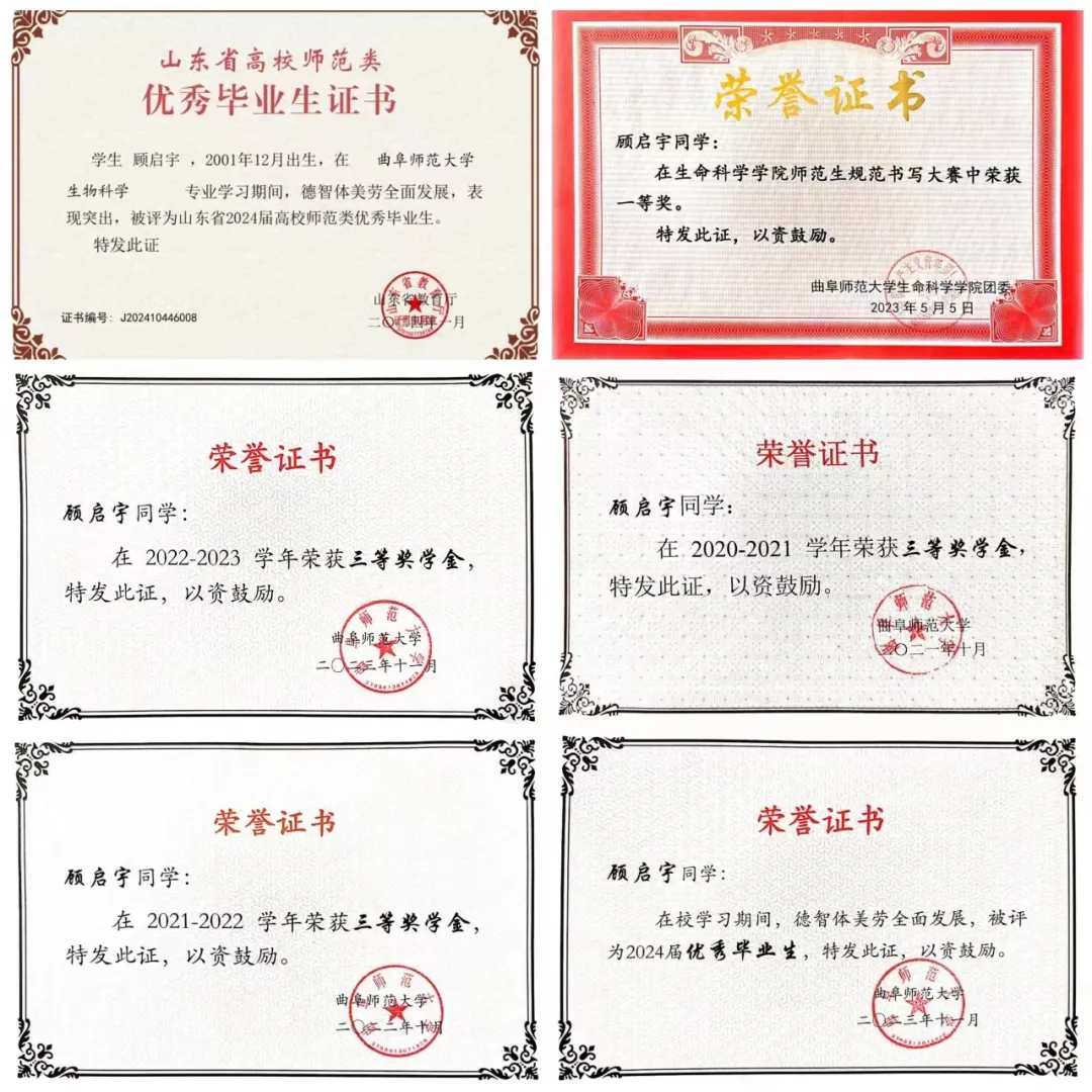 大发彩票平台