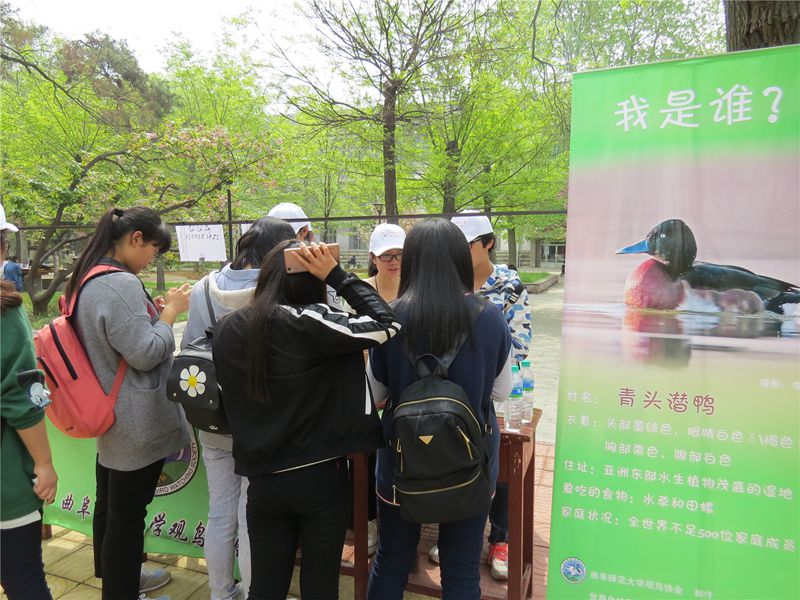 大发彩票平台