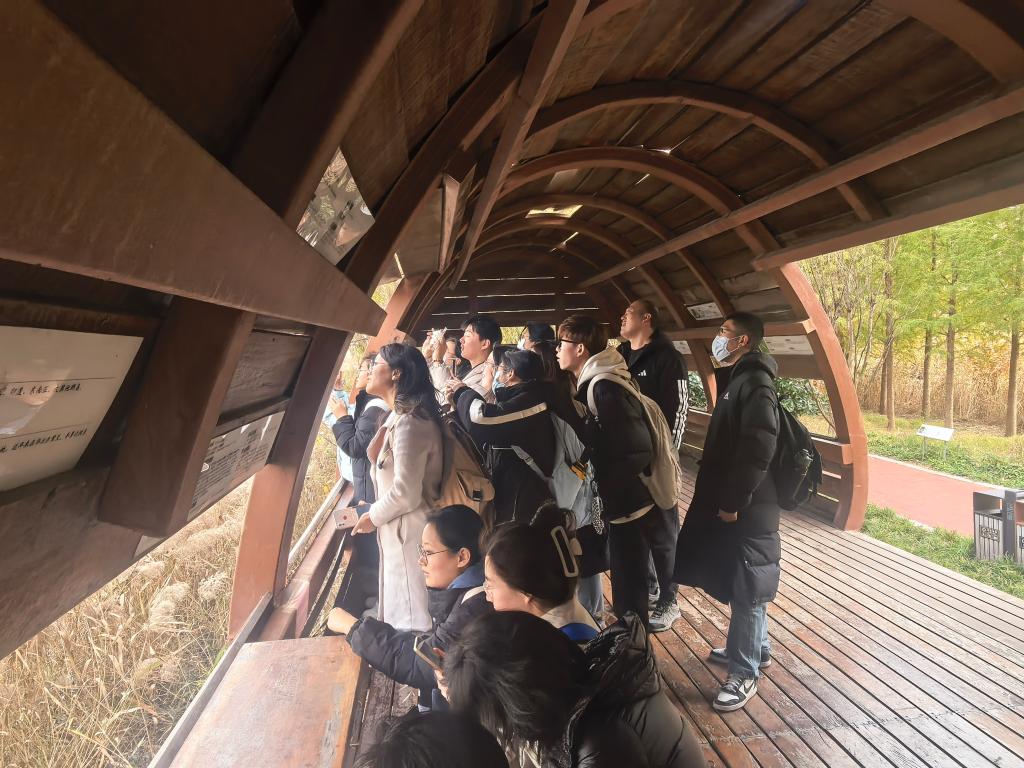 大发彩票平台