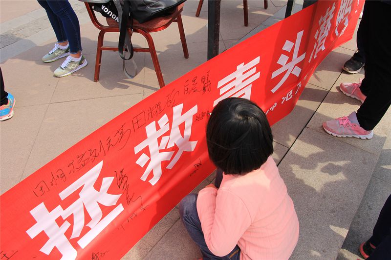 大发彩票平台