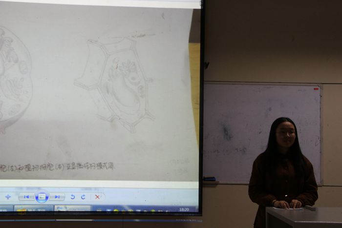 大发彩票平台