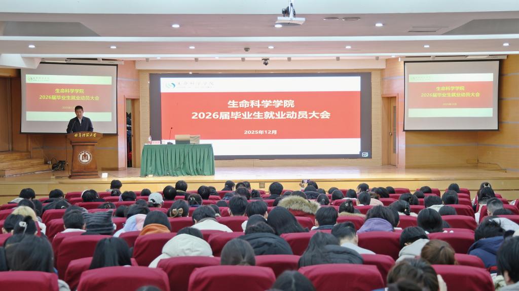 大发彩票平台