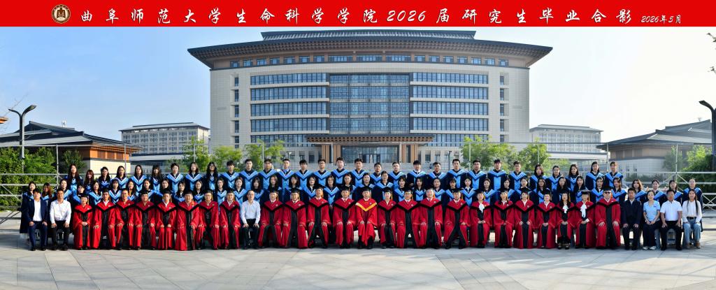 大发彩票平台
