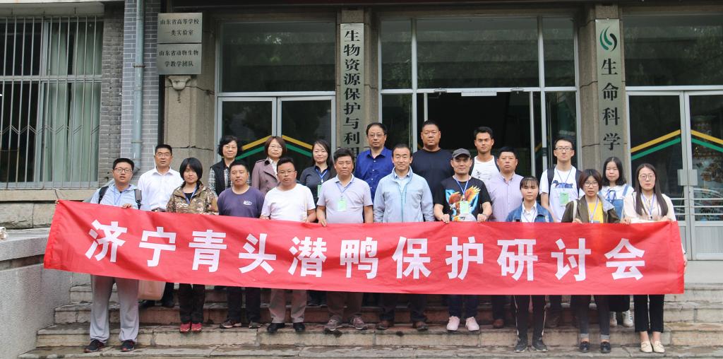 大发彩票平台