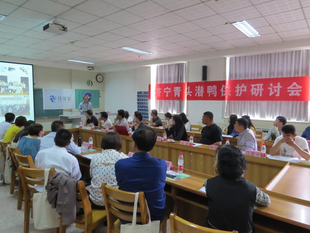 大发彩票平台